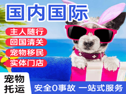 新桥机场托运国际宠物托运 【国